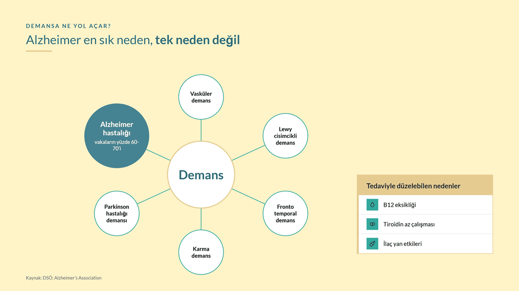Demansa yol açan nedenler: Alzheimer hastalığı (vakaların yüzde 60-70'i), vasküler, Lewy cisimcikli, frontotemporal, karma ve Parkinson hastalığı demansı; tedaviyle düzelebilen nedenler ayrı