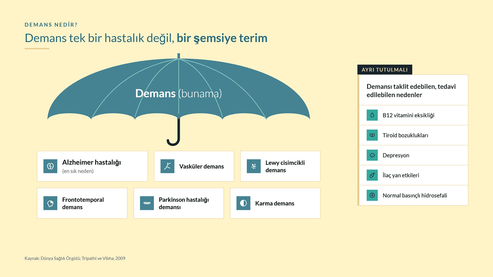 Demans şemsiyesi: Alzheimer, vasküler, Lewy cisimcikli, frontotemporal, Parkinson hastalığı demansı ve karma demans; yanında demansı taklit edebilen, tedavi edilebilen nedenler